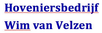 Wim van Velzen